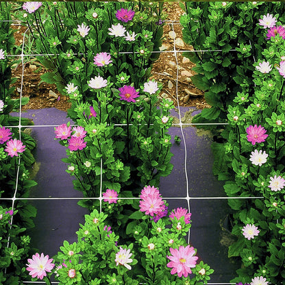 Professional Grade Trellis Netting Bulk Roll, 6.5ft x 4920ft (78" x 4920' | 1.98m x 1500m), 6" (15 cm) Squares, Heavy Duty Scrog Net with Trimming Scissors