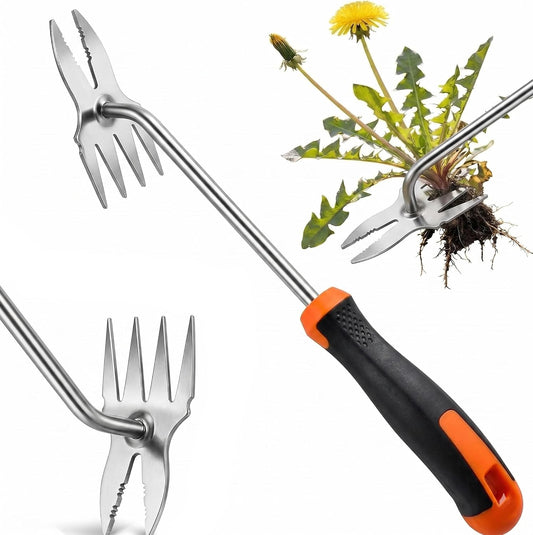 Weed Puller Tool, Heavy Duty Stainless Steel Garden Weed Puller with 4-Tine & Root Removal Fork, Weeding Tool, Deep Root Weed Remover for Dandelion, Crabgrass & Thistle, 2-in-1 Garden Tools (Orange)