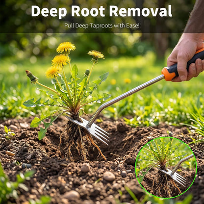 Weed Puller Tool, Heavy Duty Stainless Steel Garden Weed Puller with 4-Tine & Root Removal Fork, Weeding Tool, Deep Root Weed Remover for Dandelion, Crabgrass & Thistle, 2-in-1 Garden Tools (Orange)