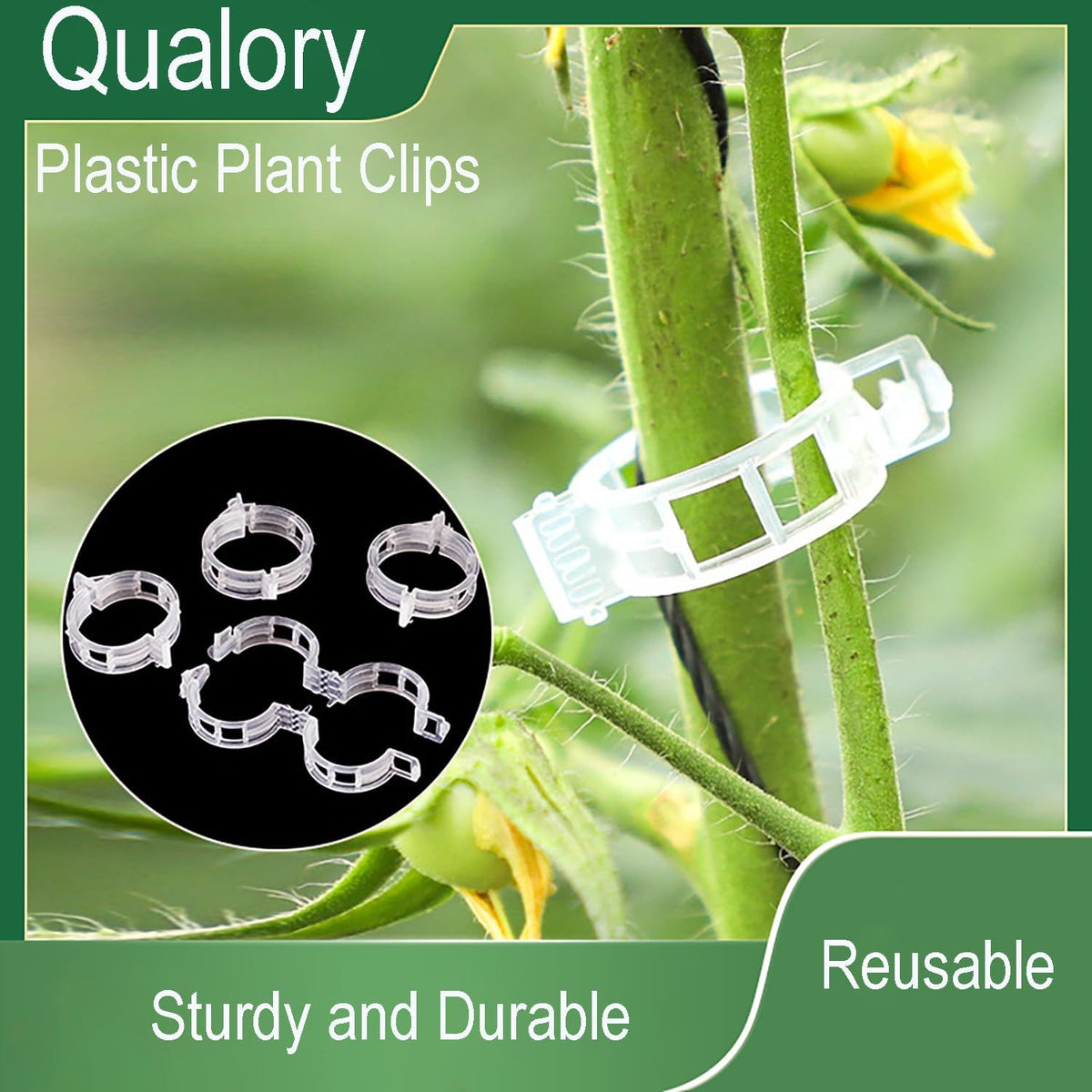 Secured Plastic Plant Clip, Tomato Clips, Secured Plant Support Clips for Climbing Plants, Plastic Trellis Clips for Fixing Stem and Vine, 2025 Upgrade (100, WHITE)