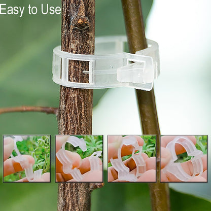 Secured Plastic Plant Clip, Tomato Clips, Secured Plant Support Clips for Climbing Plants, Plastic Trellis Clips for Fixing Stem and Vine, 2025 Upgrade (100, WHITE)