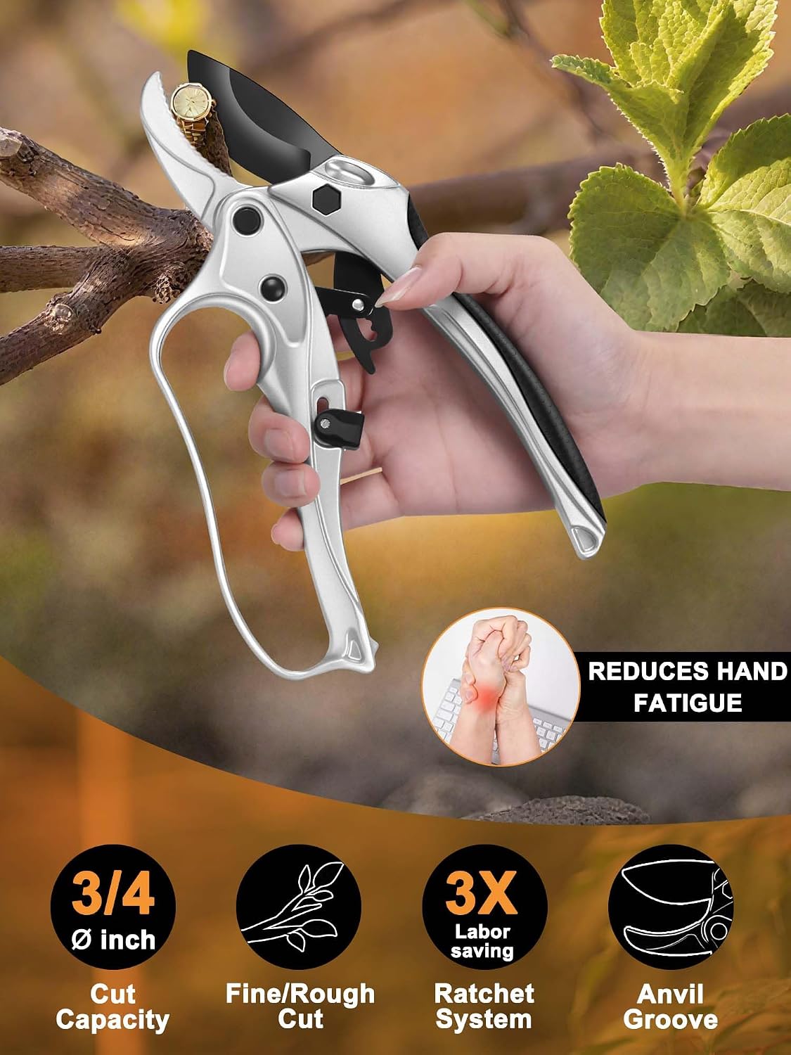 6.3" Garden Scissors for Plant, Bypass Blade Pruner, Pruning Shears for Cutting Flowers Stems, Trimming Plants, Bonsai and Fruits Picking