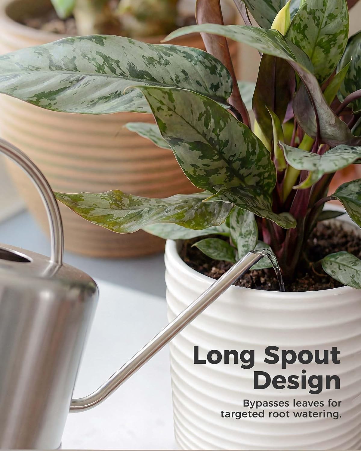 Metal Watering Can for Indoor Outdoor Plant 1L/35oz Silver