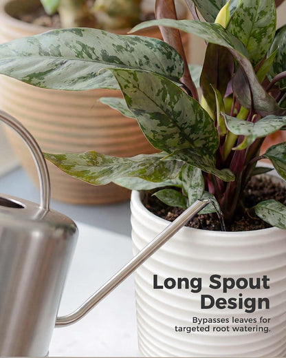 Metal Watering Can for Indoor Outdoor Plant 1L/35oz Silver