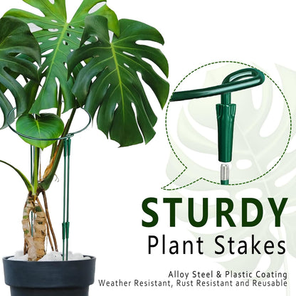 6 Pack Threaded Lock Metal Plant Support Stakes - 25" H Tall Peony Cage, Reusable Detachable Garden Ring for Hydrangea/Rose Bush/Potted Flowers, Indoor Outdoor Heavy Duty (10" W)