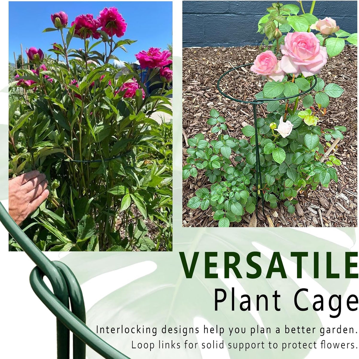 6 Pack Threaded Lock Metal Plant Support Stakes - 25" H Tall Peony Cage, Reusable Detachable Garden Ring for Hydrangea/Rose Bush/Potted Flowers, Indoor Outdoor Heavy Duty (10" W)