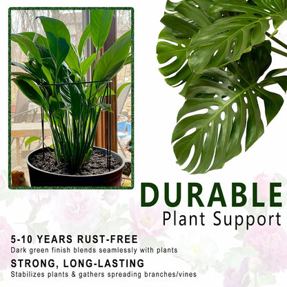 6 Pack Threaded Lock Metal Plant Support Stakes - 25" H Tall Peony Cage, Reusable Detachable Garden Ring for Hydrangea/Rose Bush/Potted Flowers, Indoor Outdoor Heavy Duty (10" W)