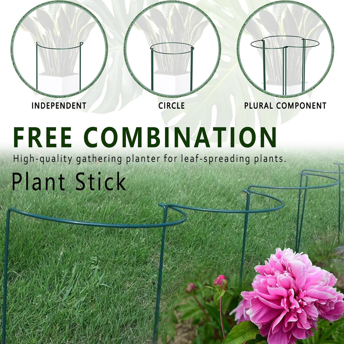 6 Pack Threaded Lock Metal Plant Support Stakes - 25" H Tall Peony Cage, Reusable Detachable Garden Ring for Hydrangea/Rose Bush/Potted Flowers, Indoor Outdoor Heavy Duty (10" W)