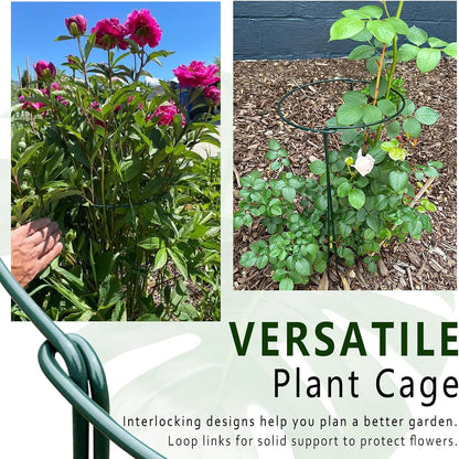 6 Pack Threaded Lock Metal Plant Support Stakes - 25" H Tall Peony Cage, Reusable Detachable Garden Ring for Hydrangea/Rose Bush/Potted Flowers, Indoor Outdoor Heavy Duty (10" W)