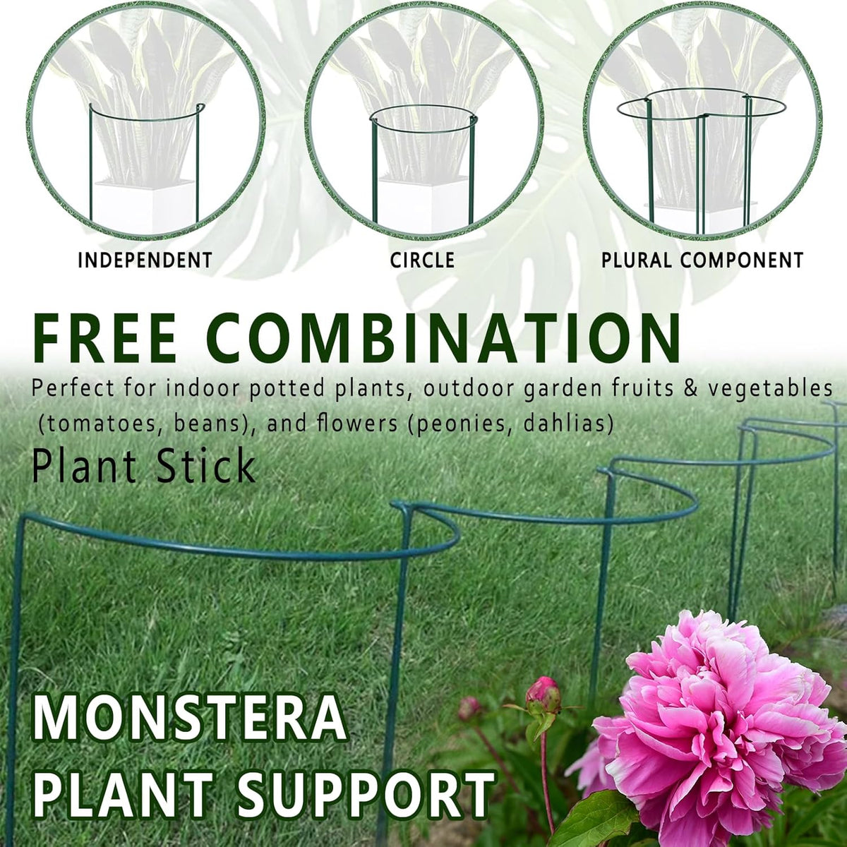 6 Pack Threaded Lock Metal Plant Support Stakes - 25" H Tall Peony Cage, Reusable Detachable Garden Ring for Hydrangea/Rose Bush/Potted Flowers, Indoor Outdoor Heavy Duty (10" W)