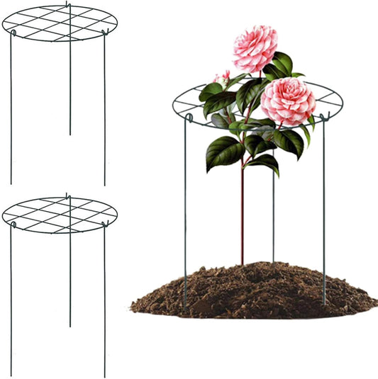 Peonies Support Cages, 6 Pack Peony Cages and Supports 30x40cm Plant Cages for Outdoor Plants Tomato Plant Support Plant Brace Flower Support Rings Hoops for Rose, Orchids
