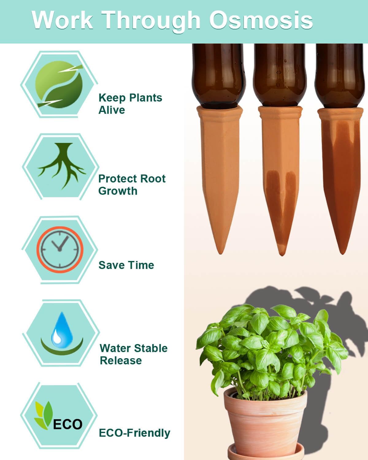 10pcs Terracotta Watering Spikes