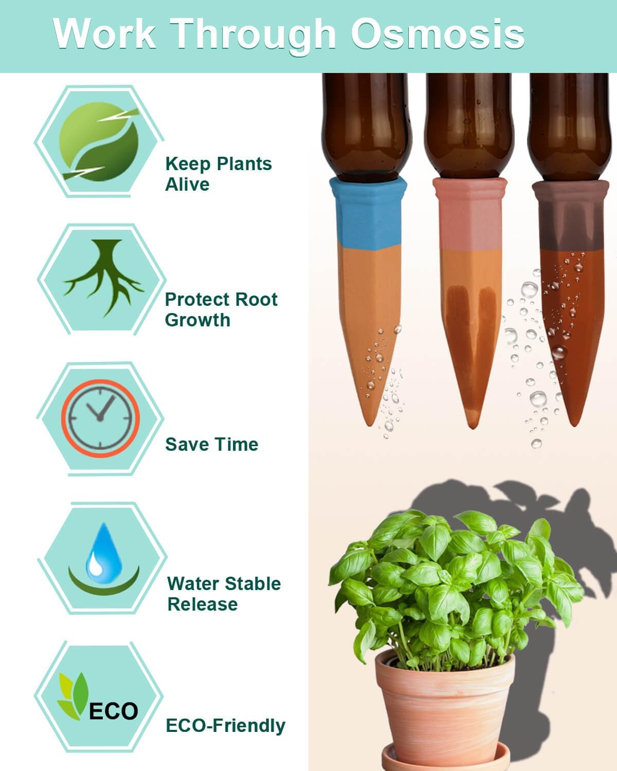 10pcs Terracotta Watering Spikes