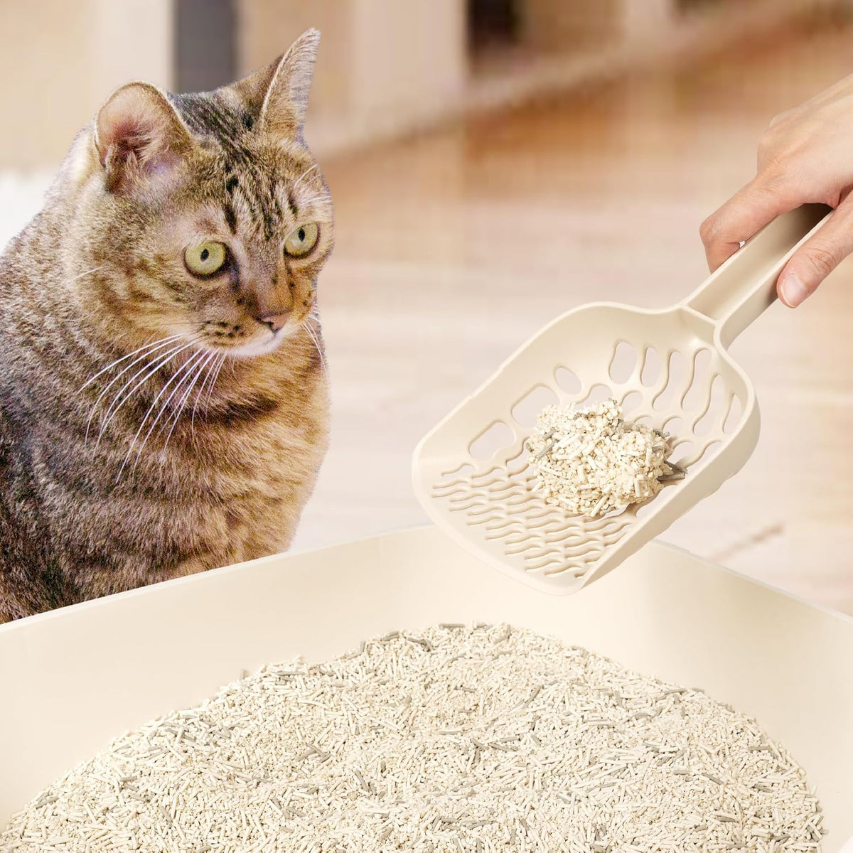 Cat Litter Scoop for tofu and Clay Litter, Durable Easy-to-Clean ABS