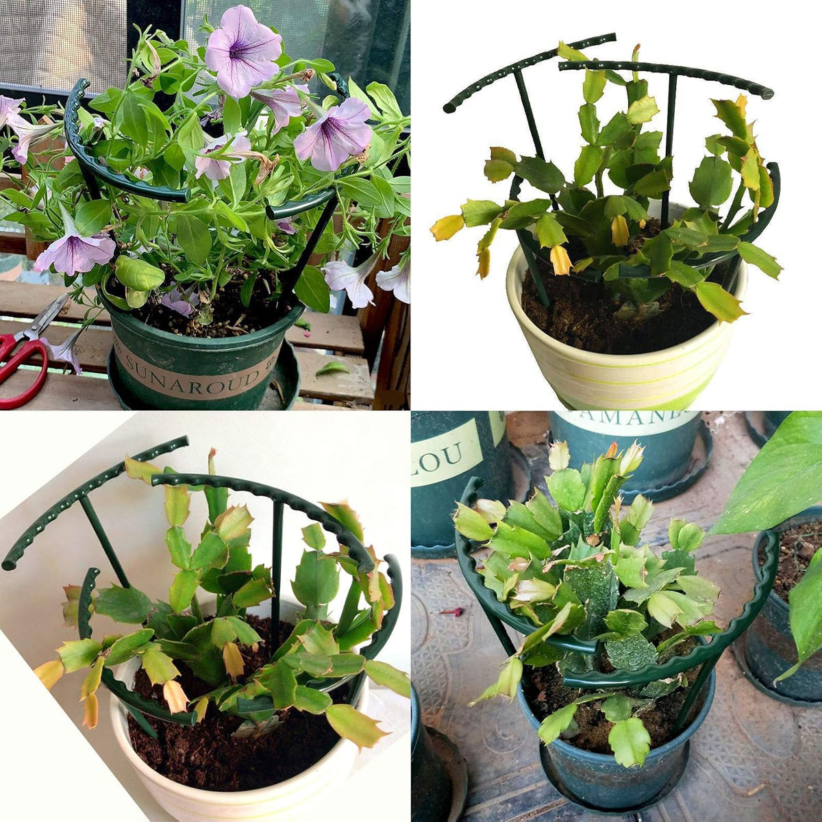 12Packs Plant Support Stake Half Round Plant Support, Stackable 3 Tier Garden Flower Support, Plant Stakes for Indoor Outdoor Plants for Tomato,Monstera, Peony, Hydrangea, Climbing Plants