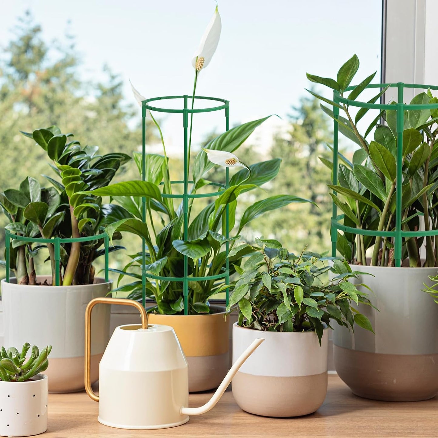 12Packs Plant Support Stake Half Round Plant Support, Stackable 3 Tier Garden Flower Support, Plant Stakes for Indoor Outdoor Plants for Tomato,Monstera, Peony, Hydrangea, Climbing Plants
