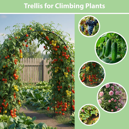 7.8ft Garden Arch, Metal Trellis for Climbing Plants Outdoor