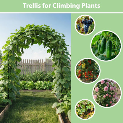 7.8ft Garden Arch, Metal Trellis for Climbing Plants Outdoor