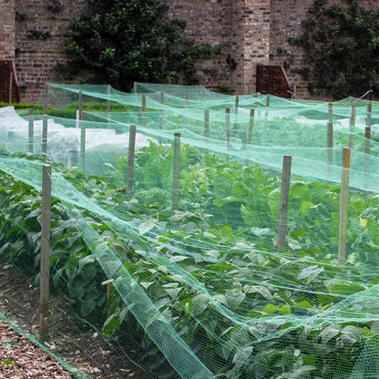 Bird Netting 20'x40' with 1" Square Mesh Bird Net Garden Netting for Chicken Coop, Aviary, Deer Fence, Chicken Netting Fruit Tree Netting