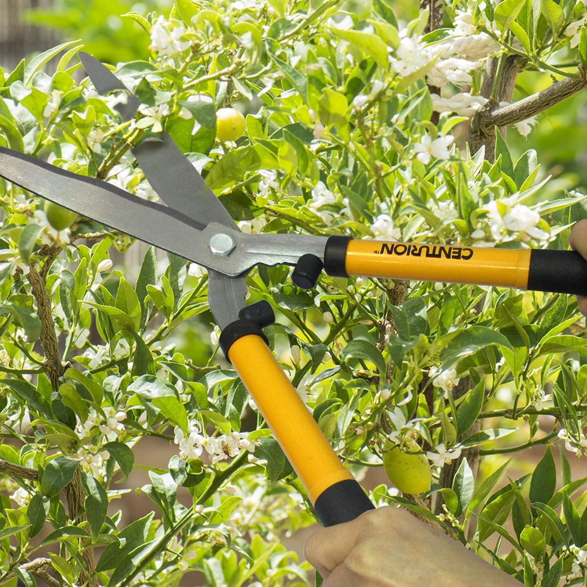 1222 3-Piece Lopper, Hedge Shear & Pruner Combo Set, Heavy Duty Tree, Shrub & Bush Care Kit for Lawn, Garden & Yard, Ideal for Indoor & Outdoor Gardening, Branch Cutting & Plant Trimming