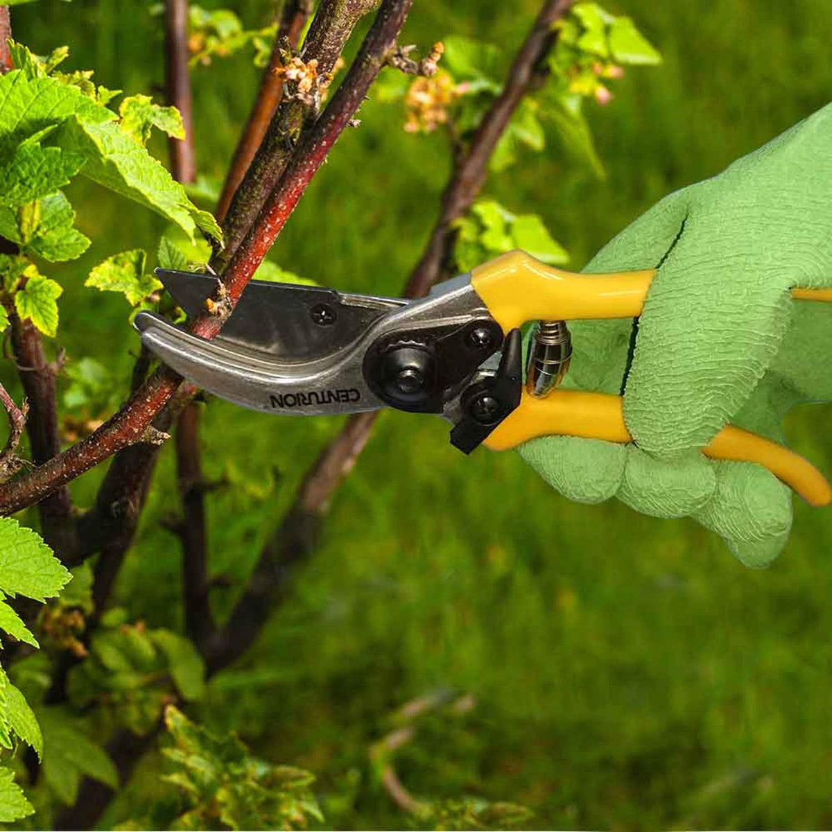 1222 3-Piece Lopper, Hedge Shear & Pruner Combo Set, Heavy Duty Tree, Shrub & Bush Care Kit for Lawn, Garden & Yard, Ideal for Indoor & Outdoor Gardening, Branch Cutting & Plant Trimming