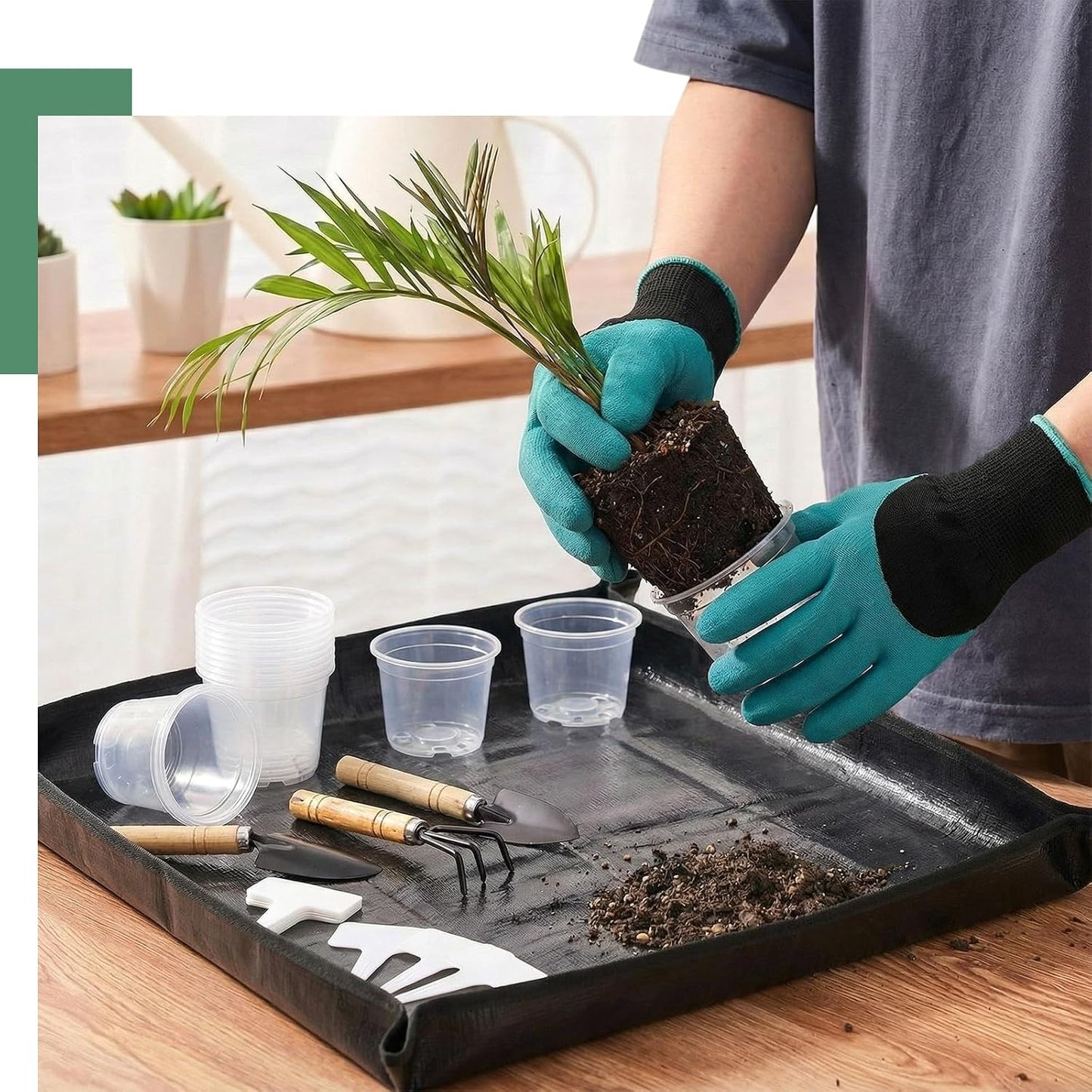 83 Pcs Garden Supplies Tools Kit, 3 Inch Clear Plastic Plant Pots with Transplanting Mat, Trowel Cultivator Rake Set, Label & Glove, Succulent Tools Gift for Plant Lovers Accessory