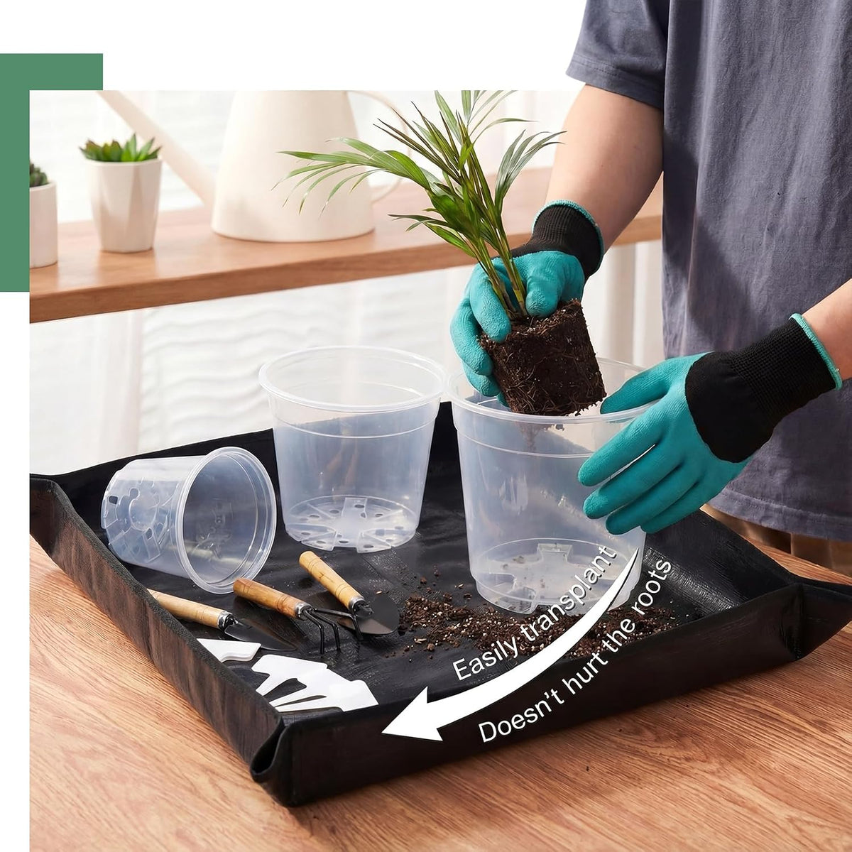 83 Pcs Garden Supplies Tools Kit, 3 Inch Clear Plastic Plant Pots with Transplanting Mat, Trowel Cultivator Rake Set, Label & Glove, Succulent Tools Gift for Plant Lovers Accessory