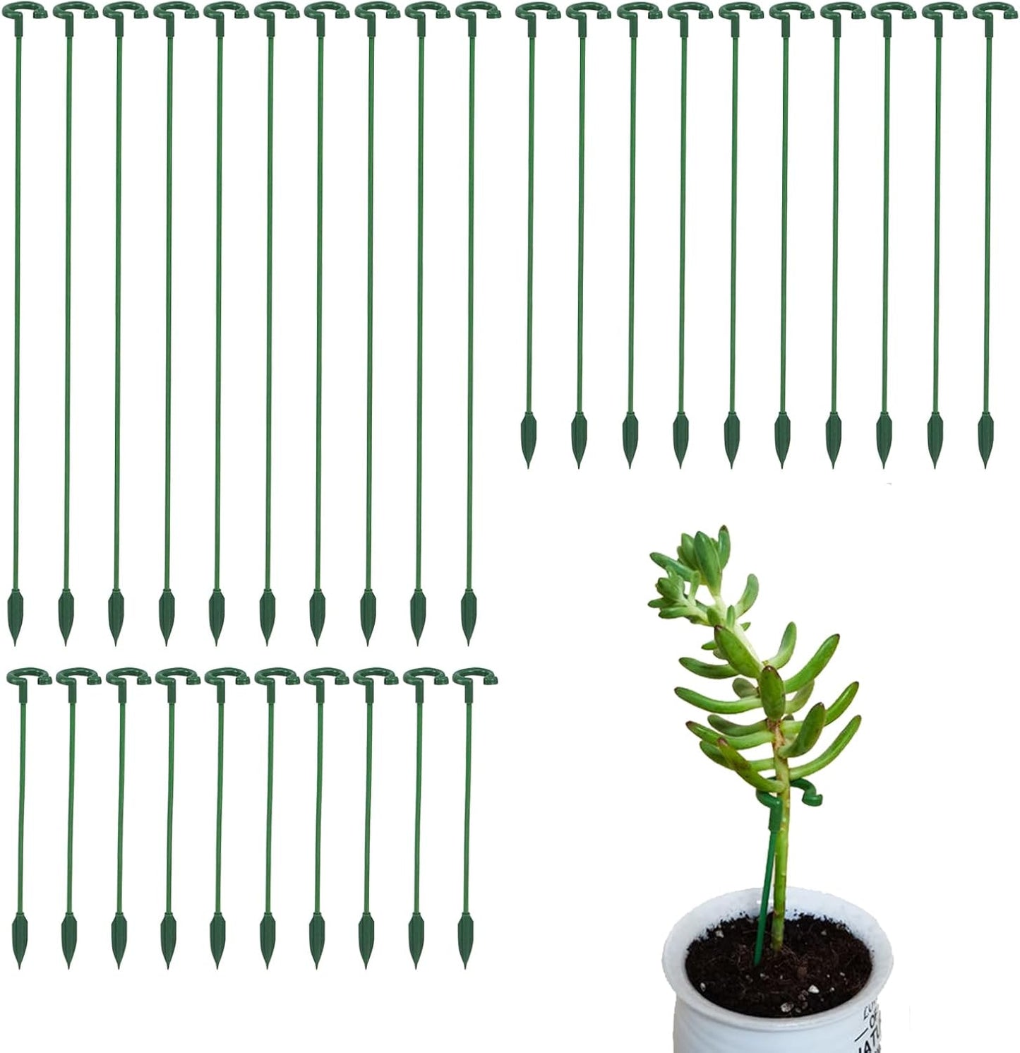 Pack of 30 Small Plant Stakes for Indoor Plants 3 Size