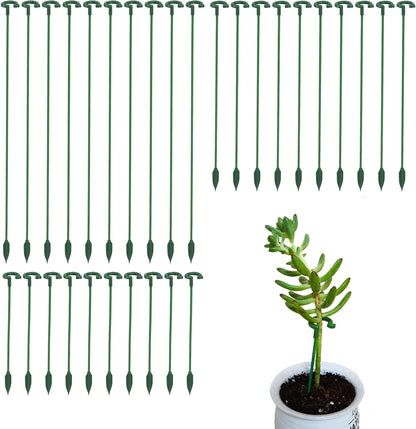 Pack of 30 Small Plant Stakes for Indoor Plants 3 Size