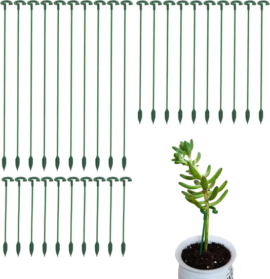 Pack of 30 Small Plant Stakes for Indoor Plants 3 Size