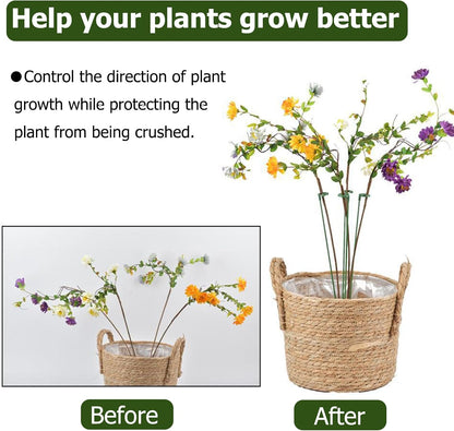 Pack of 30 Small Plant Stakes for Indoor Plants 3 Size