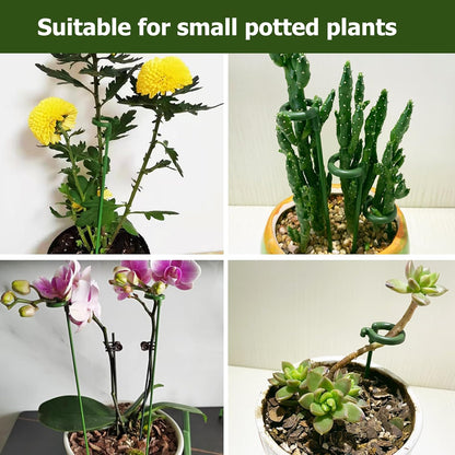 Pack of 30 Small Plant Stakes for Indoor Plants 3 Size