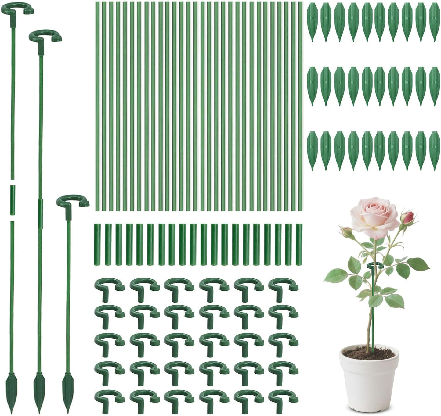 Pack of 30 Small Plant Stakes for Indoor Plants 3 Size