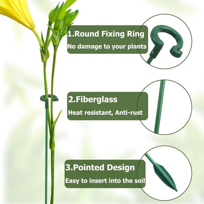 Pack of 30 Small Plant Stakes for Indoor Plants 3 Size