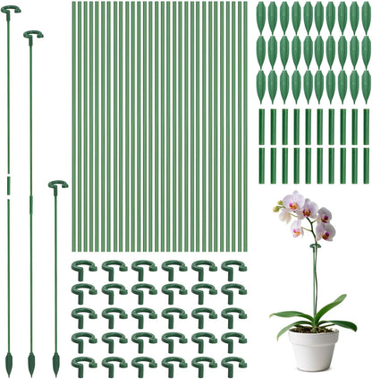 Pack of 30 Small Plant Stakes for Indoor Plants 3 Size
