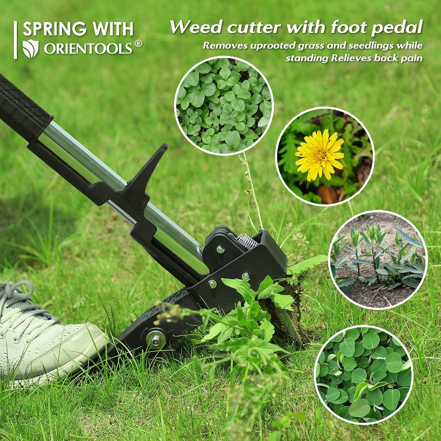 Weed Puller, Stand Up Weed Puller, 32 to 41 inch Long Handle, Upgrade Detachable Telescopic Handle Garden Weeding Tool with 4 Claws for Labor Saving Dandelions Remover Tool