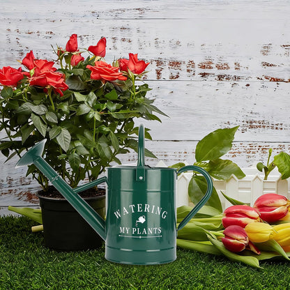 Galvanized Watering Can for Outdoor Indoor Plants, 1 Gallon Decorative Countryside Style Water Can with Removable Spout, Perfect Metal Watering Can for Indoor Plants and Garden Flower
