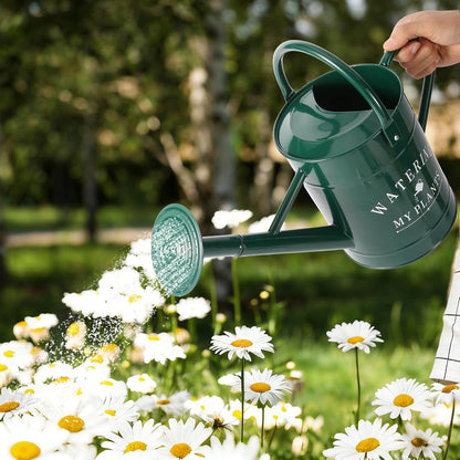 Galvanized Watering Can for Outdoor Indoor Plants, 1 Gallon Decorative Countryside Style Water Can with Removable Spout, Perfect Metal Watering Can for Indoor Plants and Garden Flower