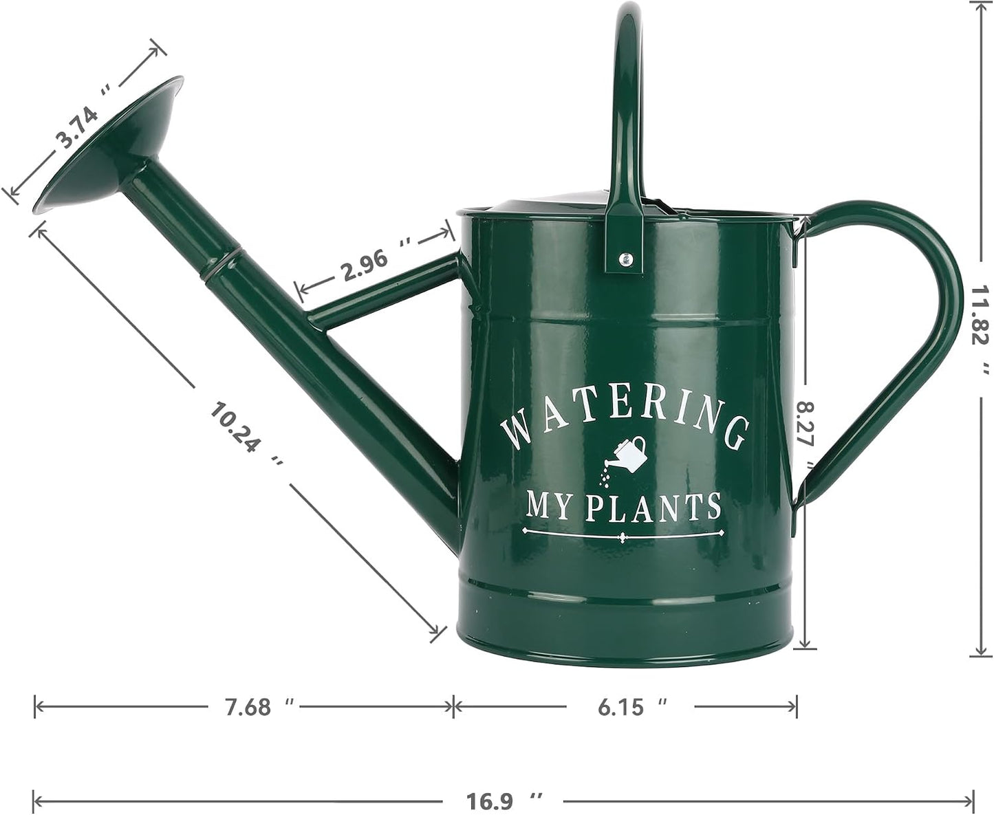 Galvanized Watering Can for Outdoor Indoor Plants, 1 Gallon Decorative Countryside Style Water Can with Removable Spout, Perfect Metal Watering Can for Indoor Plants and Garden Flower