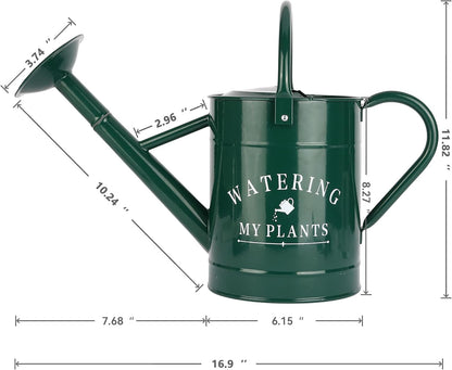 Galvanized Watering Can for Outdoor Indoor Plants, 1 Gallon Decorative Countryside Style Water Can with Removable Spout, Perfect Metal Watering Can for Indoor Plants and Garden Flower