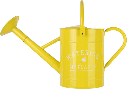Galvanized Watering Can for Outdoor Indoor Plants, 1 Gallon Decorative Countryside Style Water Can with Removable Spout, Perfect Metal Watering Can for Indoor Plants and Garden Flower