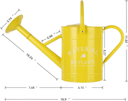 Galvanized Watering Can for Outdoor Indoor Plants, 1 Gallon Decorative Countryside Style Water Can with Removable Spout, Perfect Metal Watering Can for Indoor Plants and Garden Flower