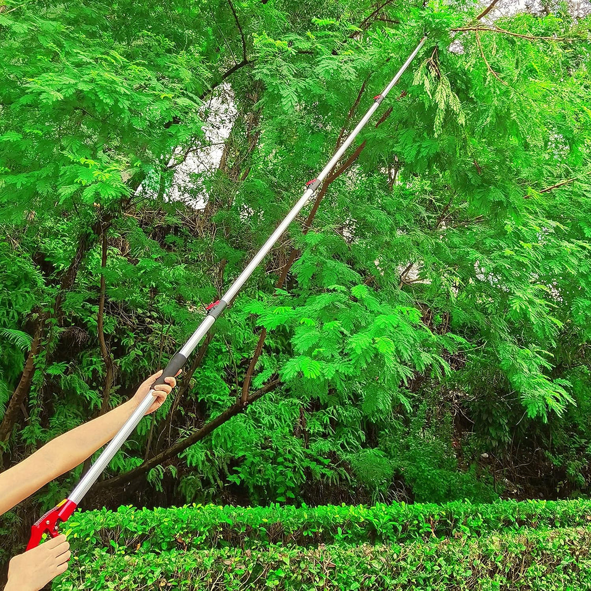5.4-14.8 FT Tree Pruner Extendable 4 Sections, Telescopic Cut and Hold Trimmers Pole Saws Trimming Long Reach Pruning Shears Branch Cutter Clipper Bypass Lopper Fruit Picker