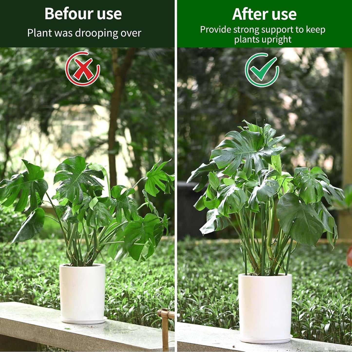 4 Pack Plant Support Stakes, Plant Stakes for Indoor and Outdoor Plants. 28inch Plant Sticks with Extension Poles, Plant Clips, Plant Ties for Potted Monstera Plants, Climbing Plants