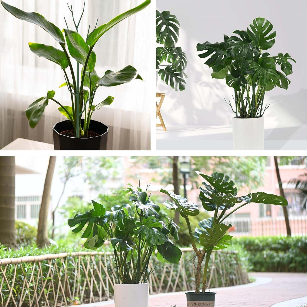 4 Pack Plant Support Stakes, Plant Stakes for Indoor and Outdoor Plants. 28inch Plant Sticks with Extension Poles, Plant Clips, Plant Ties for Potted Monstera Plants, Climbing Plants