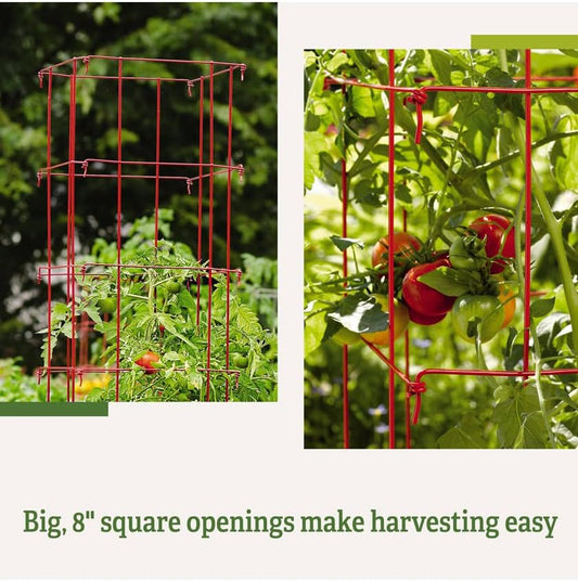 Lifetime Tomato Cages, Green, Set of 4