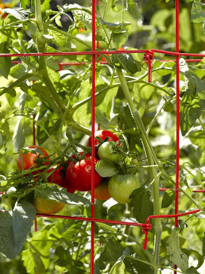Lifetime Tomato Cages, Green, Set of 4
