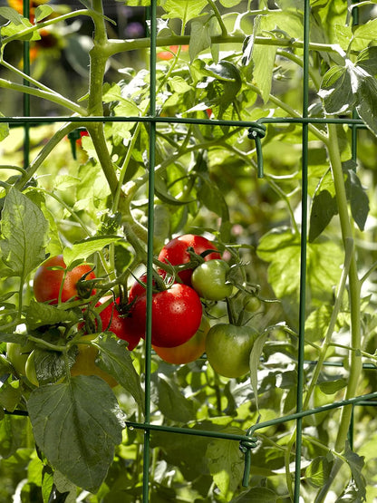 Lifetime Tomato Cages, Green, Set of 4