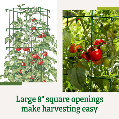 Lifetime Tomato Cages, Green, Set of 4