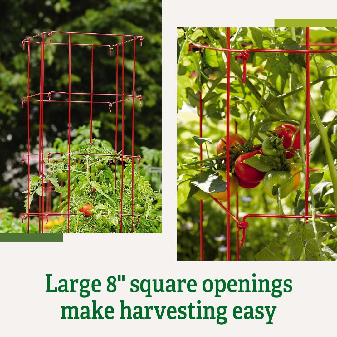 Lifetime Tomato Cages, Green, Set of 4